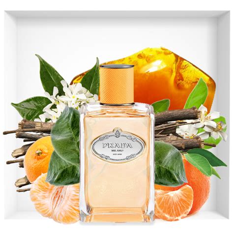 prada les infusions: infusion mandarine|prada infusion diris.